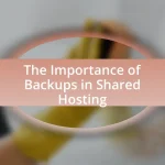 The Importance of Backups in Shared Hosting