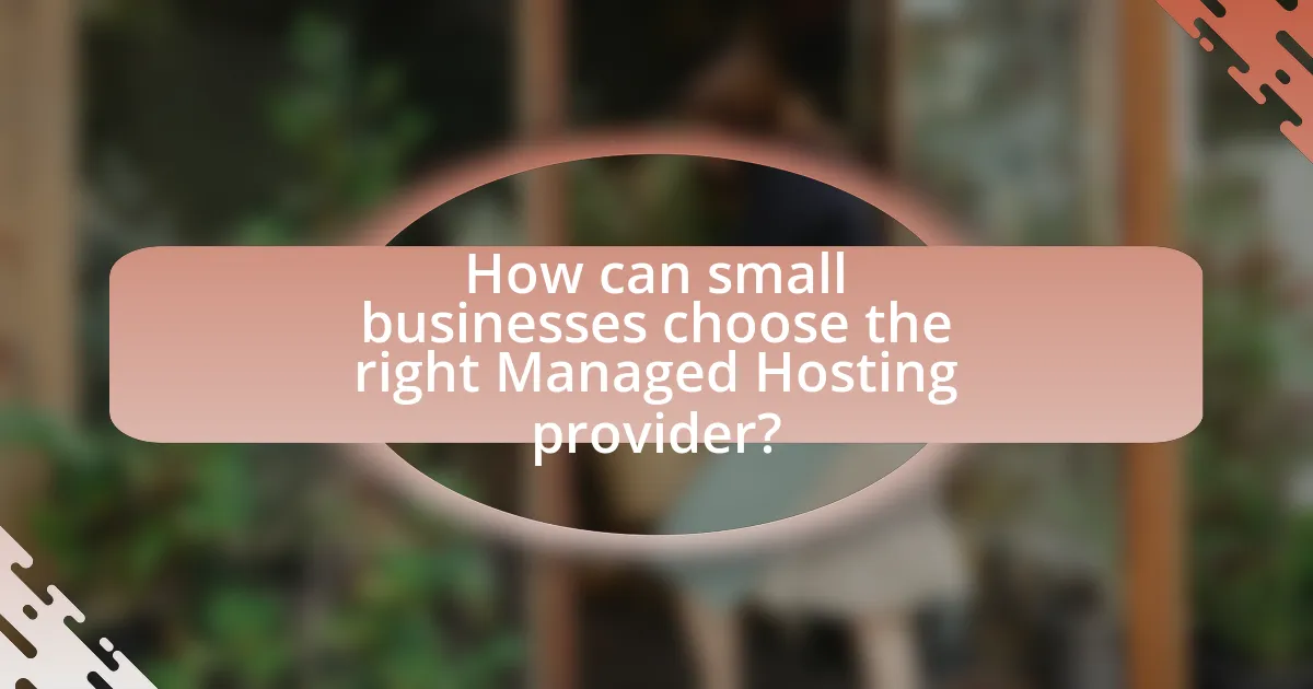 How can small businesses choose the right Managed Hosting provider?