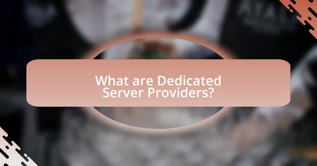 What are Dedicated Server Providers?