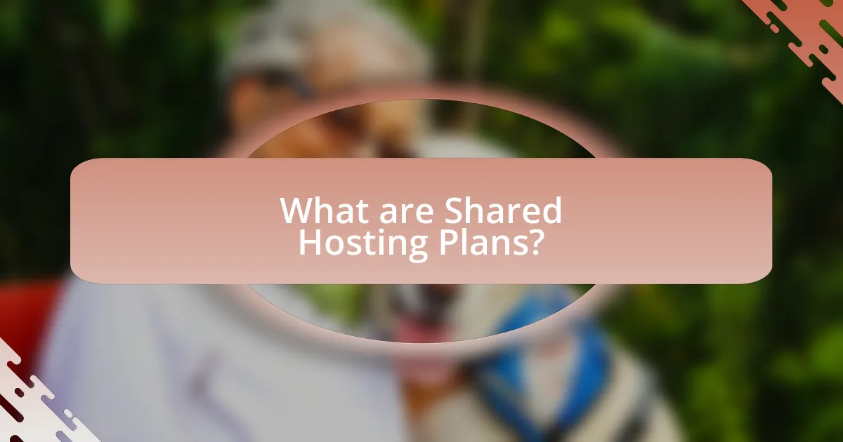 What are Shared Hosting Plans?