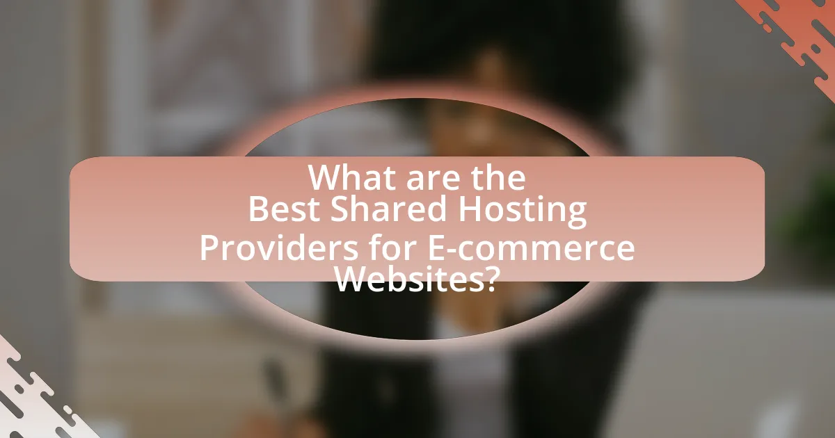 What are the Best Shared Hosting Providers for E-commerce Websites?