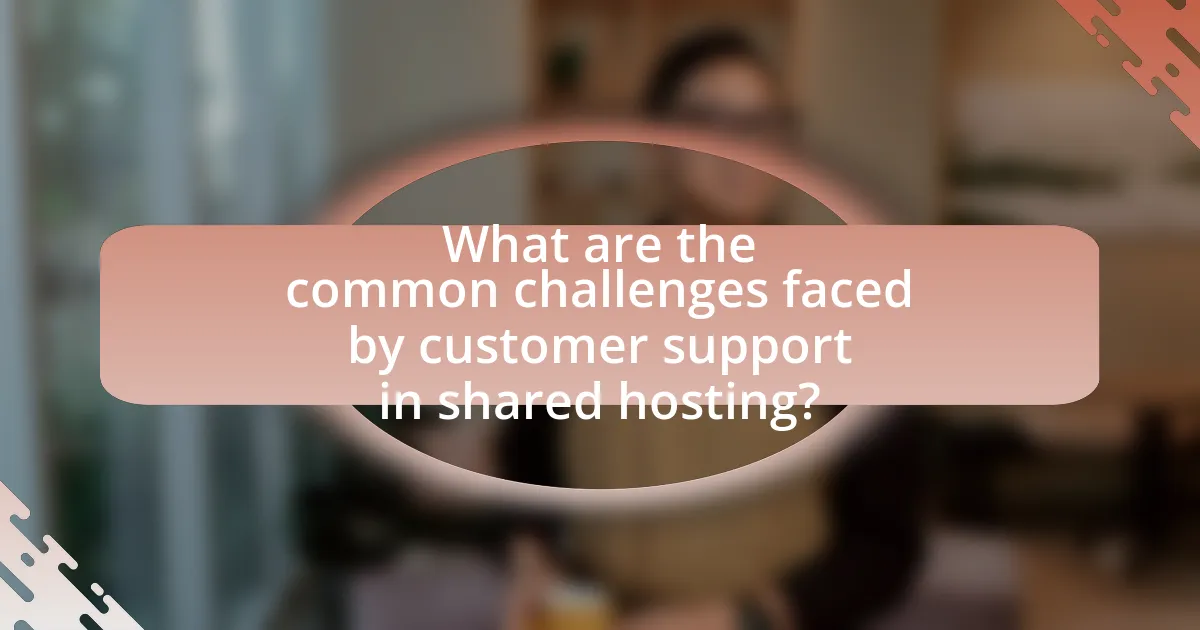 What are the common challenges faced by customer support in shared hosting?