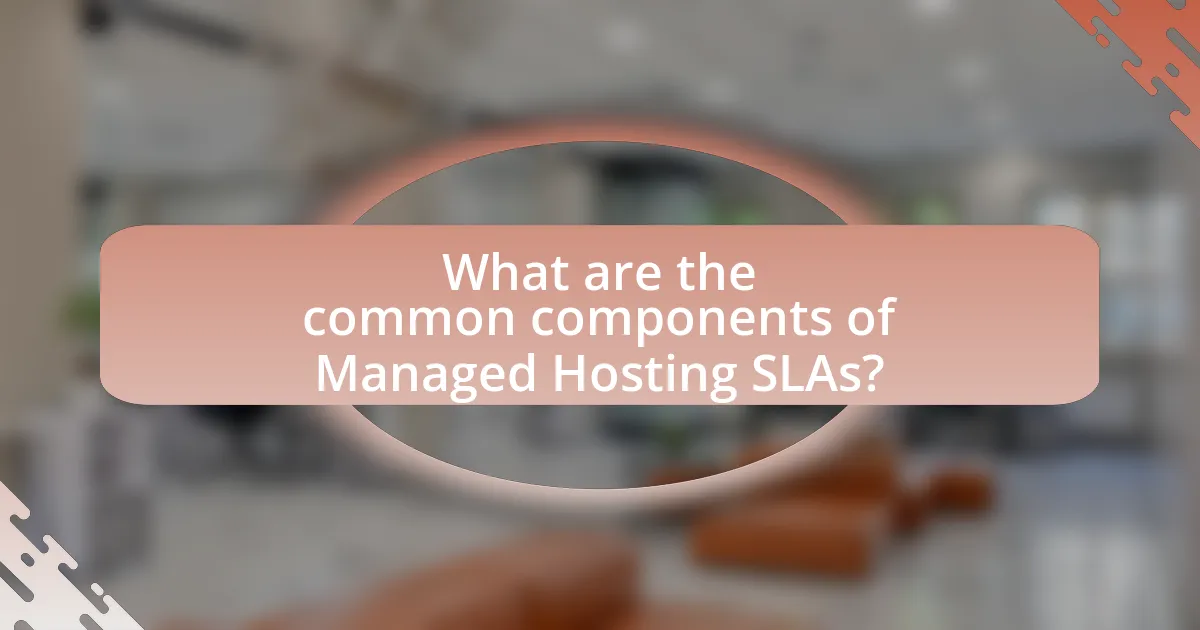 What are the common components of Managed Hosting SLAs?